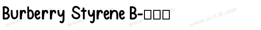 Burberry Styrene B字体转换